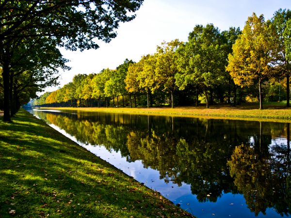 Bank Landscaping in Hilton Head Island