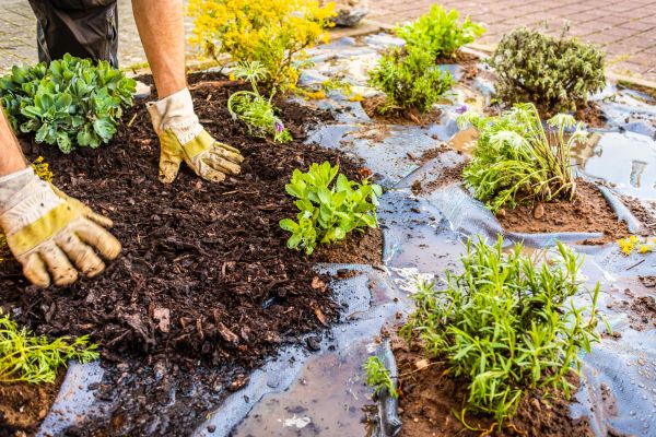 Mulch Fabric Installation in Hilton Head Island