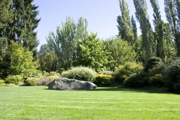 Yard Enlargement in Hilton Head Island