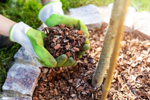 Tree Bark Delivery in Hilton Head Island