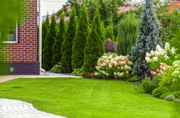 Spring Landscaping in Hilton Head Island