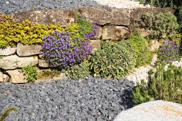 Landscaping Rocks Installation in Hilton Head Island