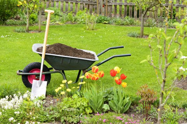 Spring Yard Renovation in Hilton Head Island