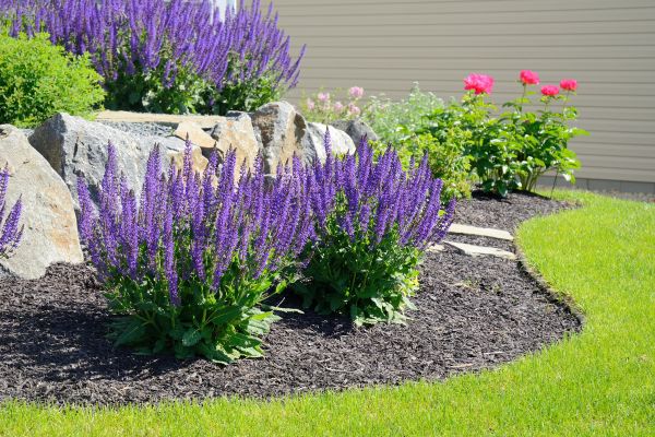 Landscape Planting Service in Hilton Head Island