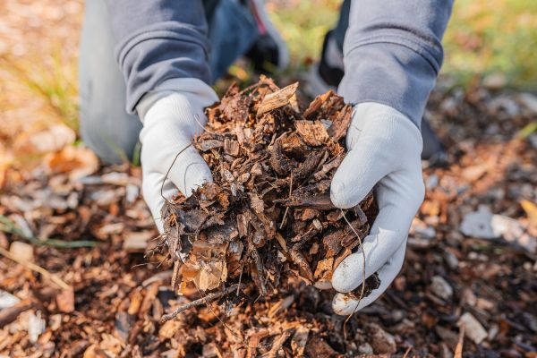 Shredded Mulch Installation in Hilton Head Island