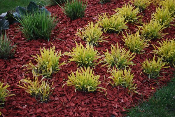 Red Mulch Installation in Hilton Head Island