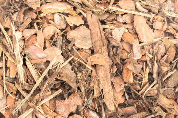 Bark Mulch Installation in Hilton Head Island