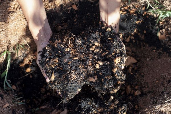 Organic Mulch Installation in Hilton Head Island