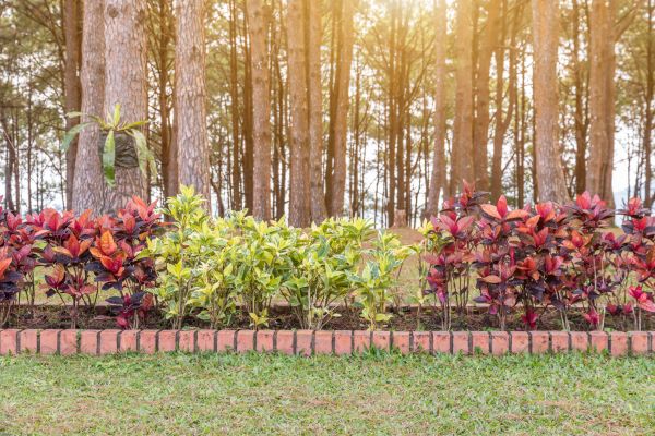 Small Garden Landscaping in Hilton Head Island