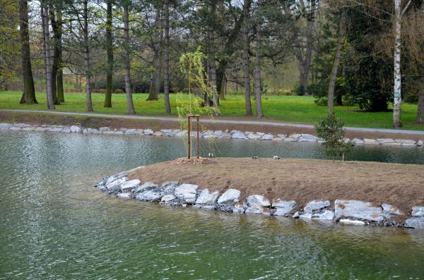 Pond Landscaping Service in Hilton Head Island