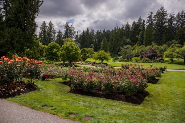 Flower Garden Landscaping in Hilton Head Island