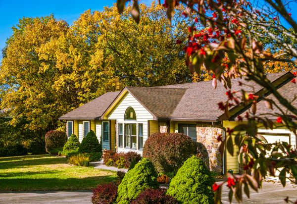 Ranch Landscaping in Hilton Head Island