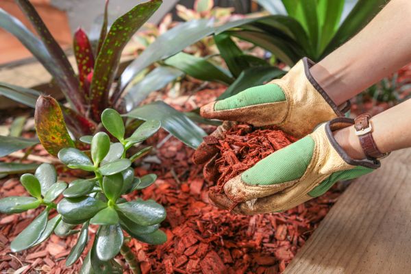 Cedar Mulch Installation in Hilton Head Island