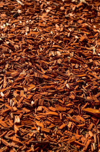 Cedar Mulch Spreading in Hilton Head Island
