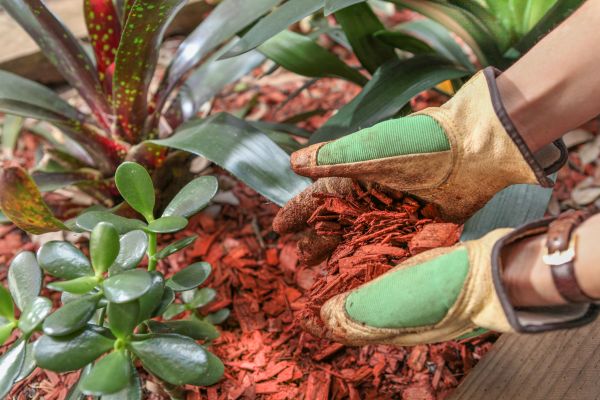 Residential Mulching in Hilton Head Island
