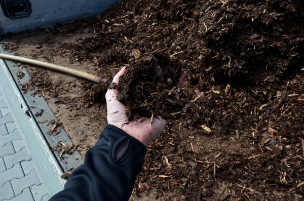 Condo Mulching in Hilton Head Island