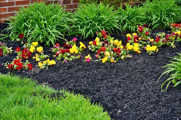 Apartment Mulching in Hilton Head Island