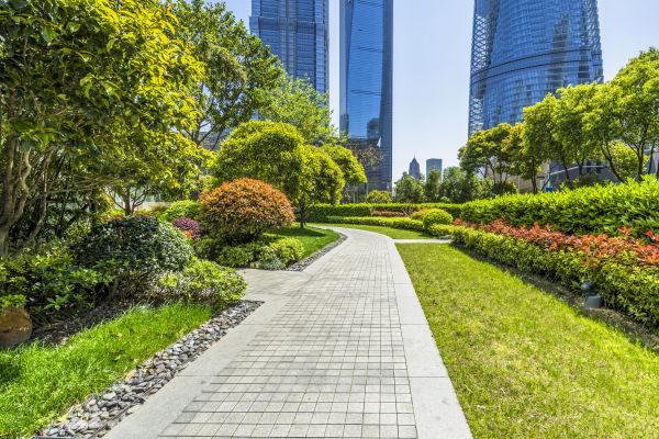 Commercial Landscaping in Hilton Head Island